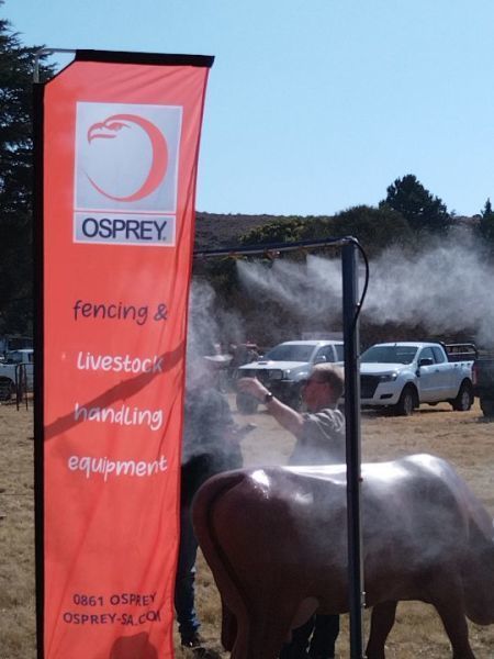 Bully Spray Race